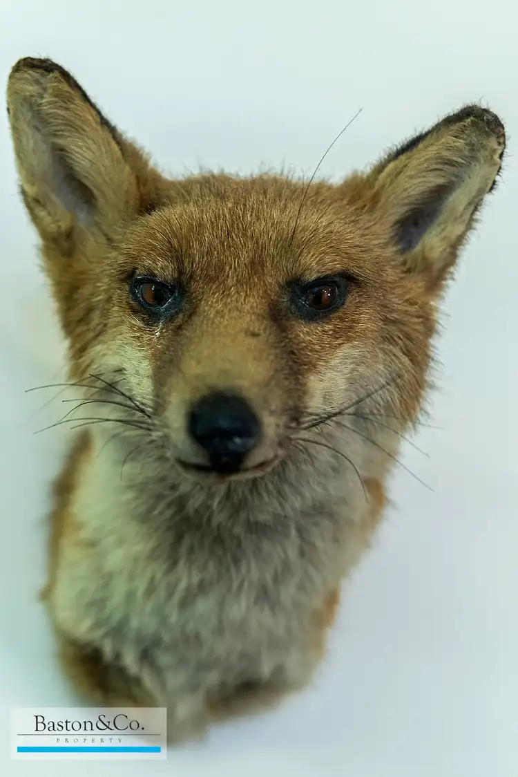 Second view of Homely house listing, 101 Mackie Street, Victoria Park WA 6100