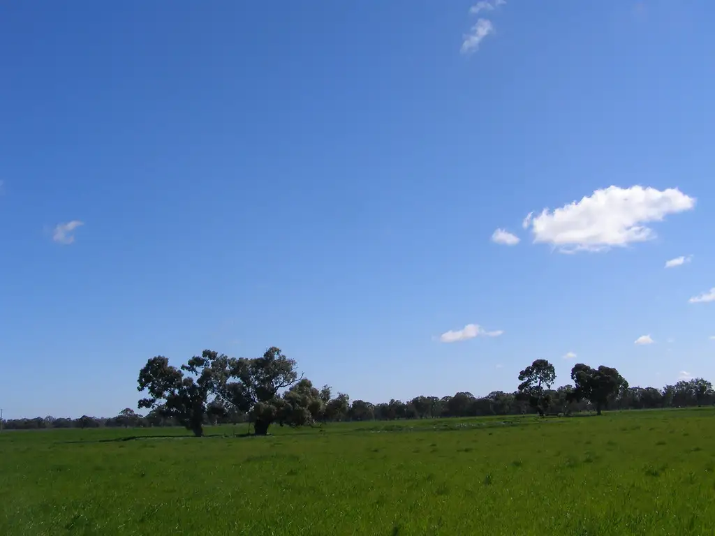 Main view of Homely rural property listing, 2310 Tehan Rd, Koyuga VIC 3622