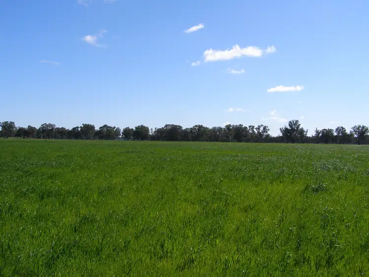 Fourth view of Homely rural property listing, 2310 Tehan Rd, Koyuga VIC 3622