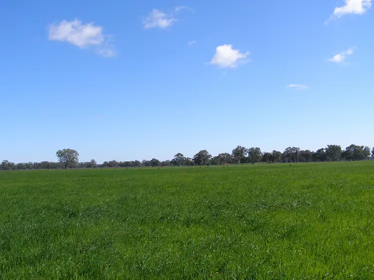Fifth view of Homely rural property listing, 2310 Tehan Rd, Koyuga VIC 3622