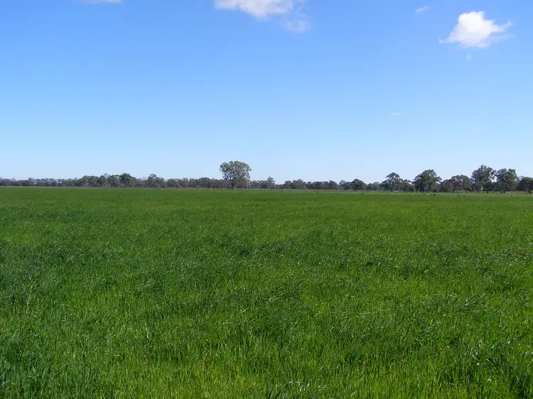 Sixth view of Homely rural property listing, 2310 Tehan Rd, Koyuga VIC 3622