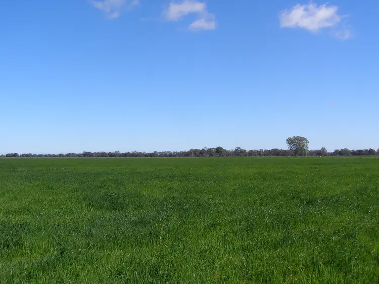 Seventh view of Homely rural property listing, 2310 Tehan Rd, Koyuga VIC 3622