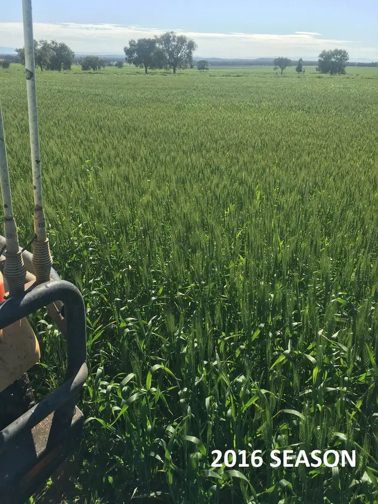 Fourth view of Homely rural property listing, 283 Fairfield Road, Boggabri NSW 2382