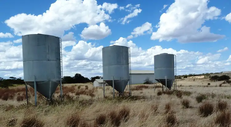 Fifth view of Homely rural property listing, Weetbix's Bennie Road, Wirrulla SA 5661