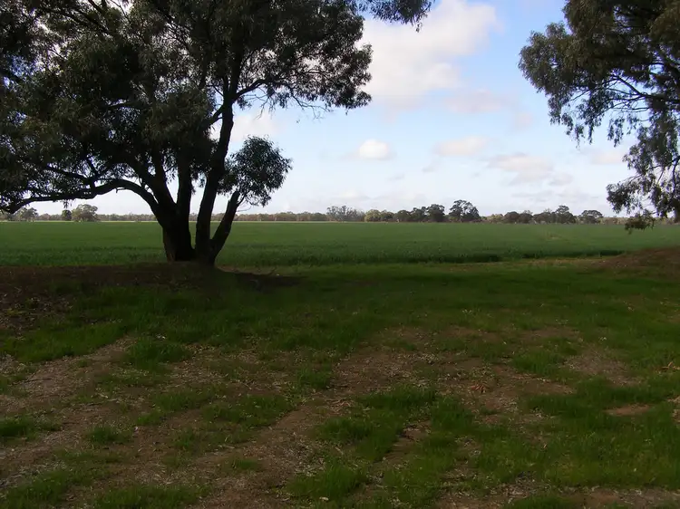 Main view of Homely rural property listing, 767 Scott Road, Echuca Village VIC 3564