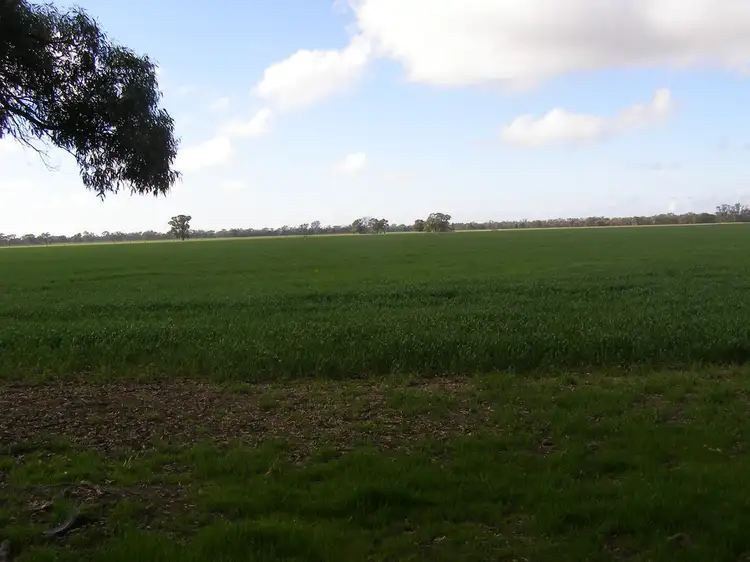 Second view of Homely rural property listing, 767 Scott Road, Echuca Village VIC 3564