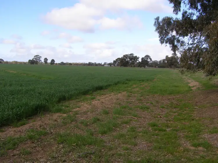 Third view of Homely rural property listing, 767 Scott Road, Echuca Village VIC 3564