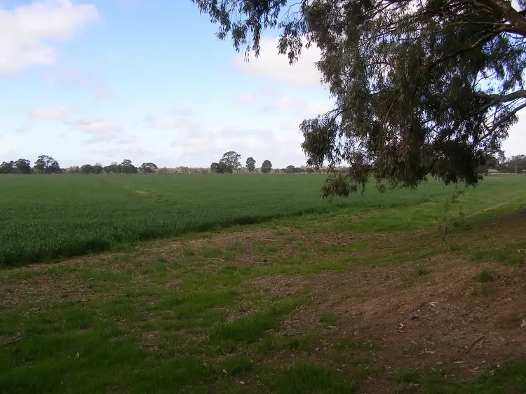 Fourth view of Homely rural property listing, 767 Scott Road, Echuca Village VIC 3564
