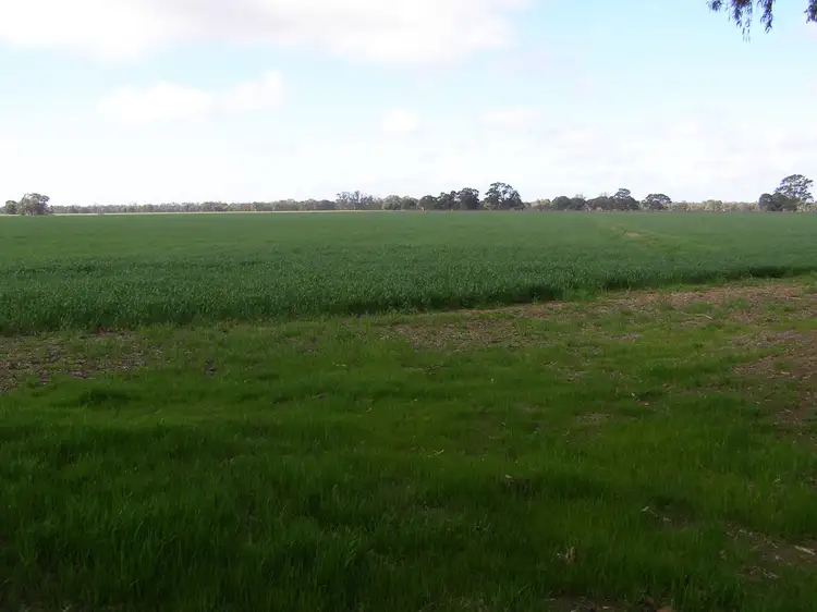 Fifth view of Homely rural property listing, 767 Scott Road, Echuca Village VIC 3564
