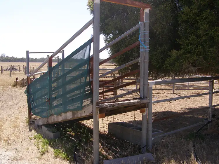 Seventh view of Homely rural property listing, 767 Scott Road, Echuca Village VIC 3564