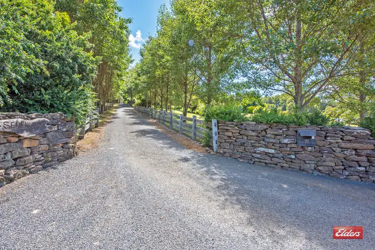 78 West Ridgley Road, Ridgley TAS 7321