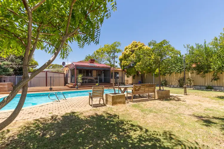 Third view of Homely house listing, 14 Cummins Street, Willagee WA 6156