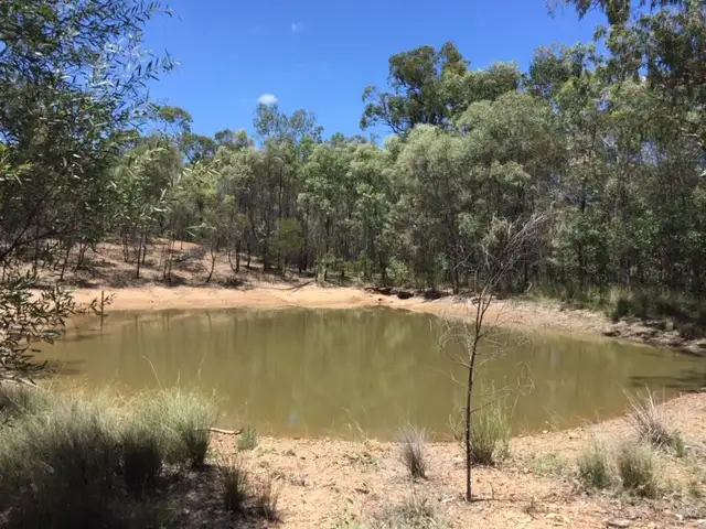 Third view of Homely rural property listing, #1 CHINCHILLA TARA ROAD, Tara QLD 4421