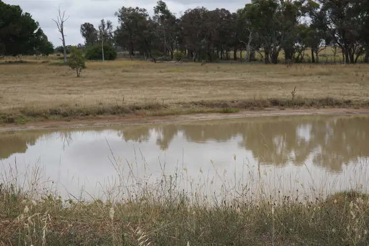 Sixth view of Homely house listing, 10030 Guyra Road, Guyra NSW 2365