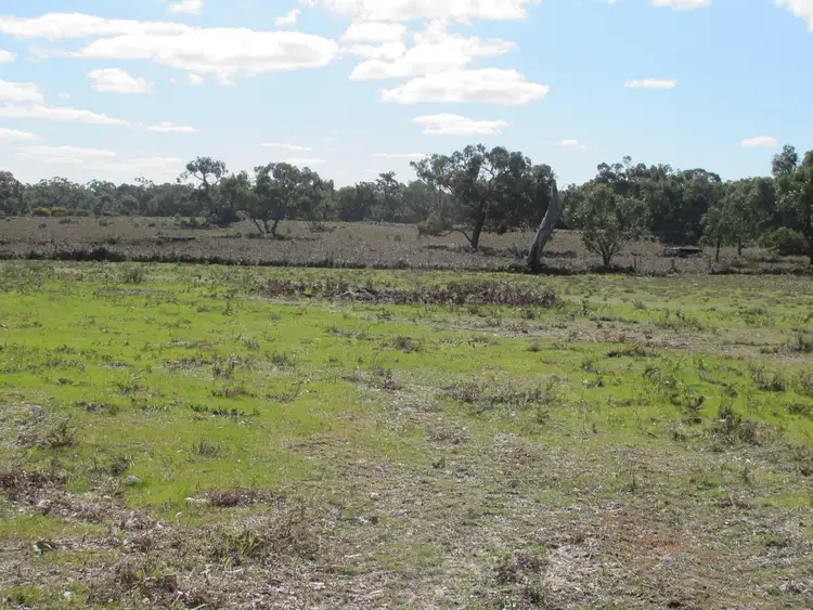 Second view of Homely rural property listing, 166 Alex Pahls Road, Edenhope VIC 3318