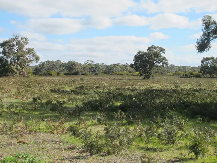 Fifth view of Homely rural property listing, 166 Alex Pahls Road, Edenhope VIC 3318