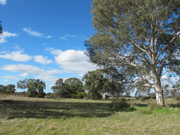 Sixth view of Homely rural property listing, 166 Alex Pahls Road, Edenhope VIC 3318