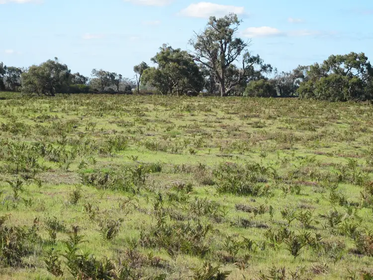 Seventh view of Homely rural property listing, 166 Alex Pahls Road, Edenhope VIC 3318