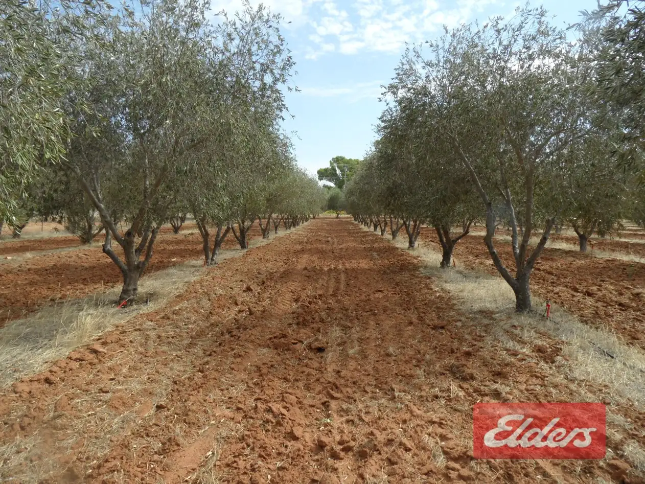 Main view of Homely land listing, 380 (Lot 5) Angle Vale Road, Kudla SA 5115