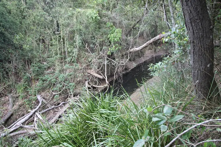 Third view of Homely rural property listing, LOT 12 H BUST RD, Dalysford QLD 4671