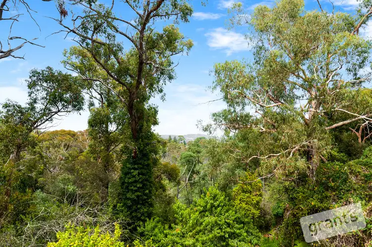 Third view of Homely house listing, 19 Salisbury Road, Beaconsfield Upper VIC 3808
