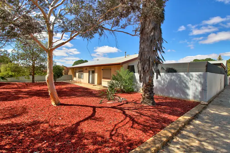 4 Petch Street, Loxton SA 5333