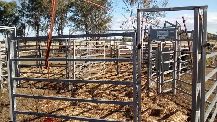 Fourth view of Homely rural property listing, 136 ACRES LIFESTYLE GRAZING, Jandowae QLD 4410