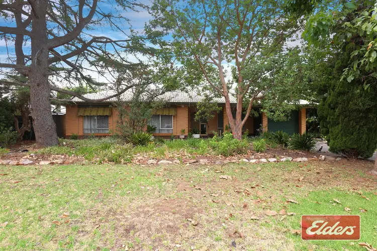 Main view of Homely house listing, 75 Paxton Street, Willaston SA 5118