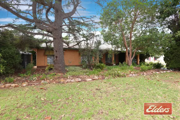 Second view of Homely house listing, 75 Paxton Street, Willaston SA 5118