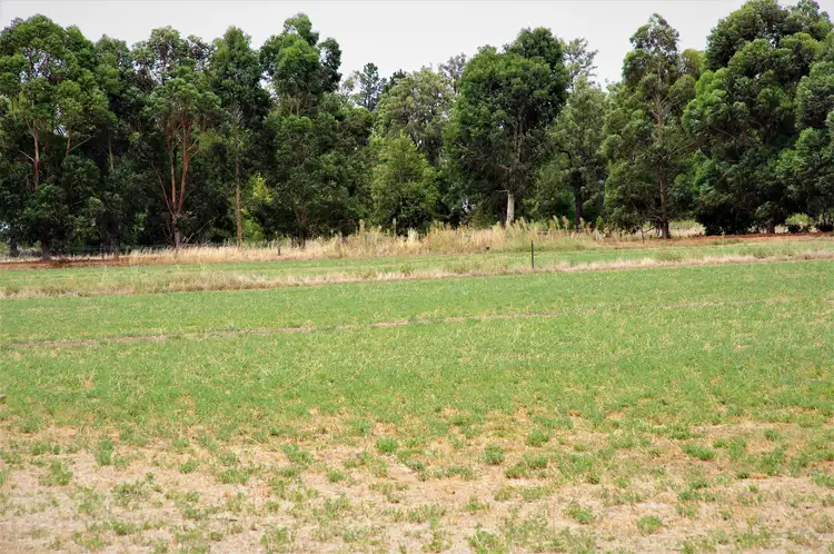 Main view of Homely land listing, 1086 Rendells Road, Numurkah VIC 3636