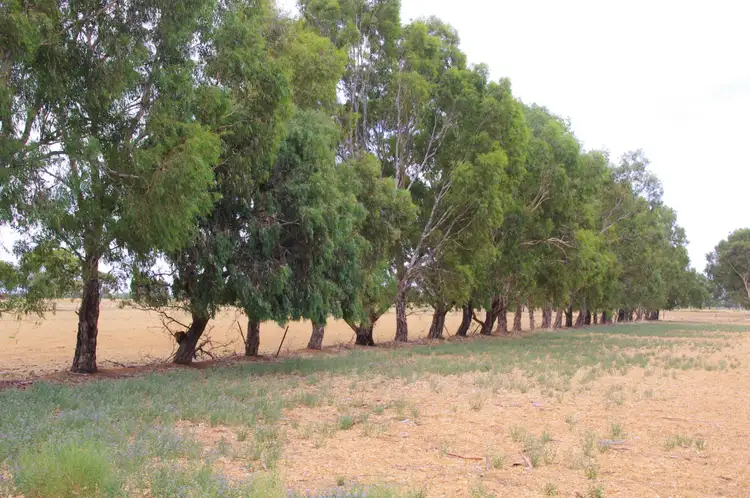 Second view of Homely land listing, 1086 Rendells Road, Numurkah VIC 3636