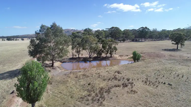 Third view of Homely rural property listing, 56 Wattle Creek Road, Landsborough VIC 3384
