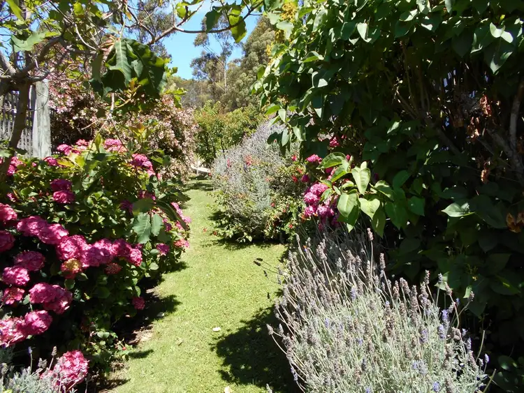 Fourth view of Homely house listing, 15 Prosser Street, Orford TAS 7190
