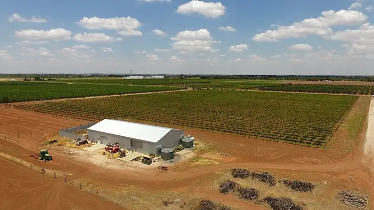 Second view of Homely rural property listing, Farm 598A Bilbul Road, Beelbangera NSW 2680