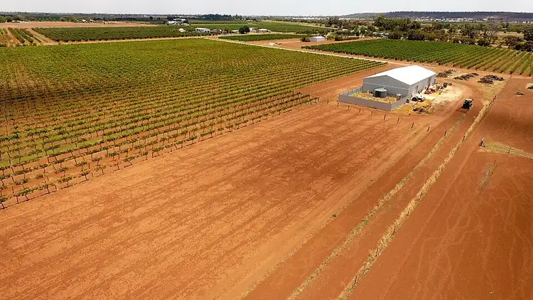 Third view of Homely rural property listing, Farm 598A Bilbul Road, Beelbangera NSW 2680