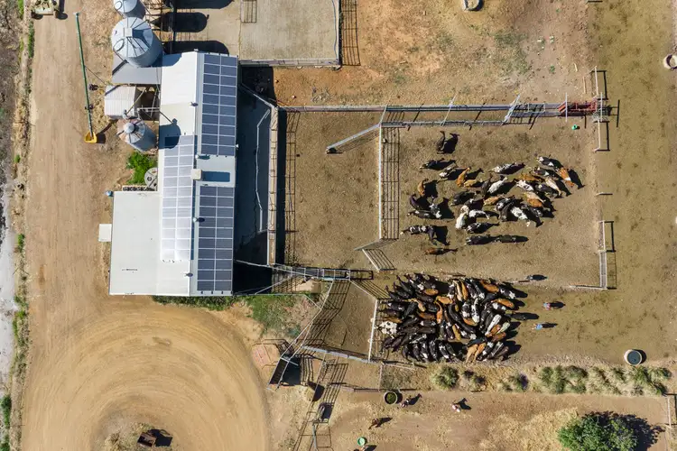 Sixth view of Homely rural property listing, 153 Orams Road, Katunga VIC 3640