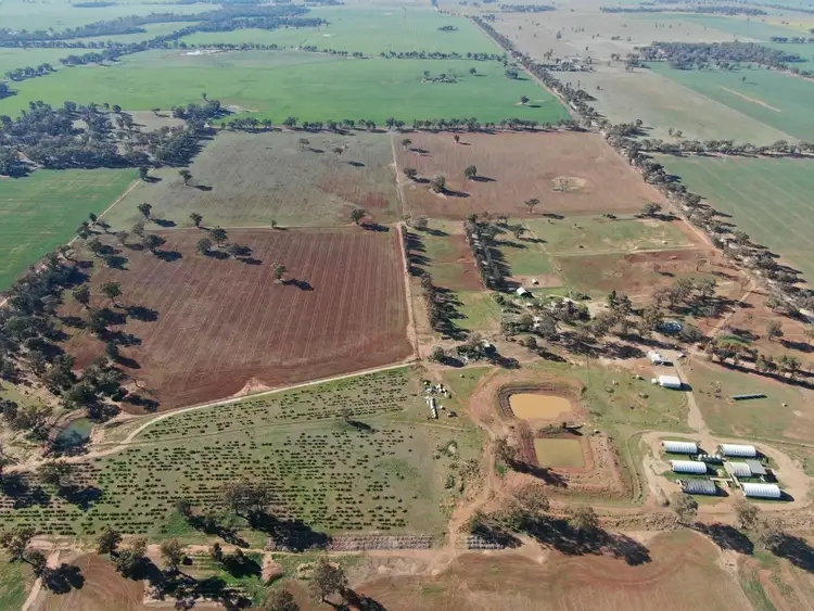 1082 Bundawarrah Road, Temora NSW 2666
