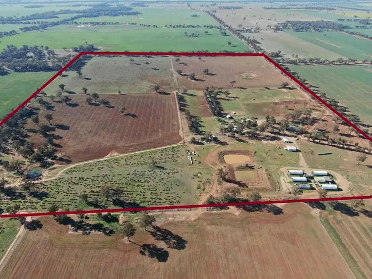 Seventh view of Homely rural property listing, 1082 Bundawarrah Road, Temora NSW 2666