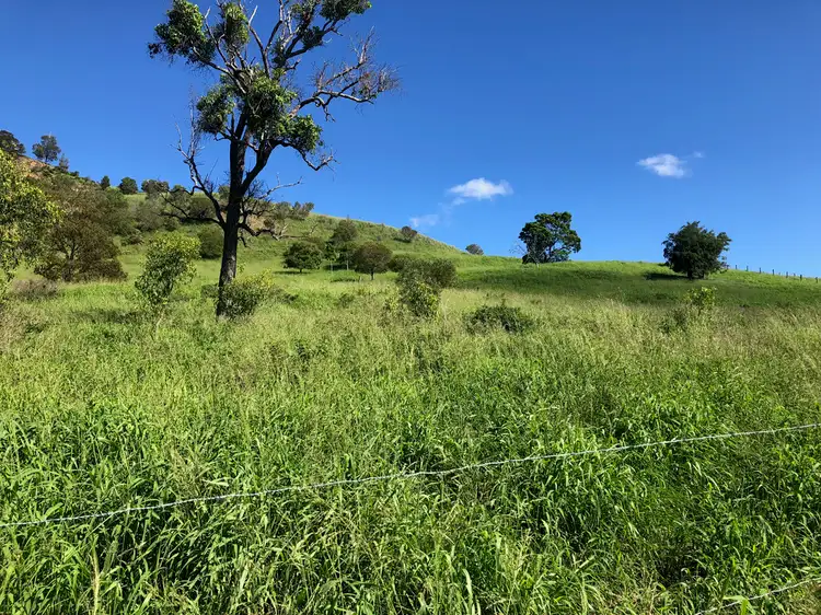 Fourth view of Homely rural property listing, 476 Derrymore Road, Derrymore QLD 4352