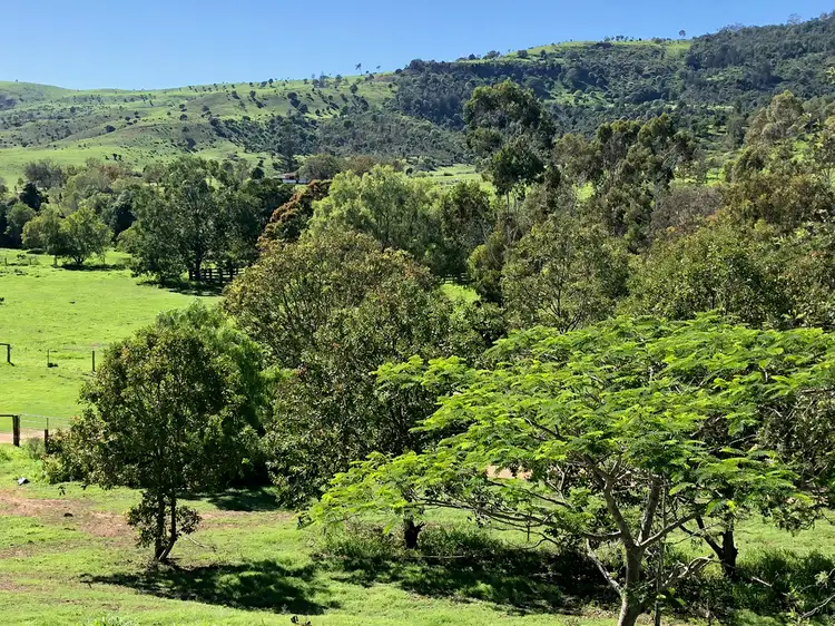 Seventh view of Homely rural property listing, 476 Derrymore Road, Derrymore QLD 4352