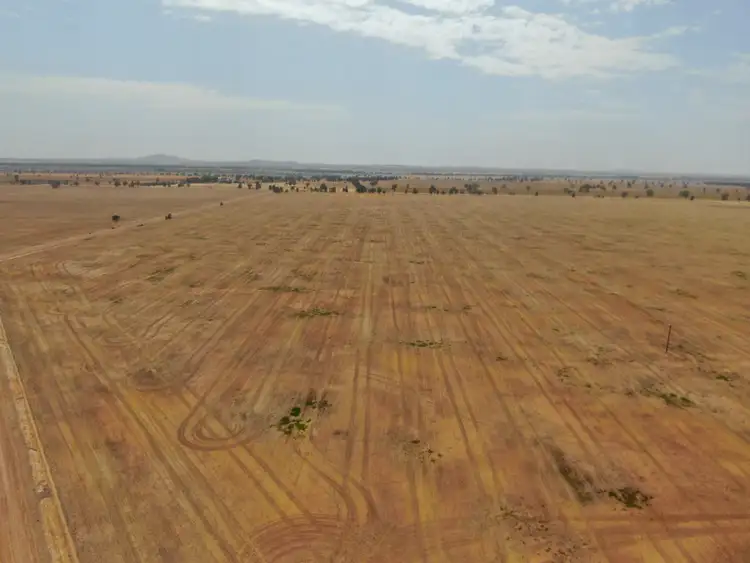Second view of Homely rural property listing, - 'Wolstan', West Wyalong NSW 2671