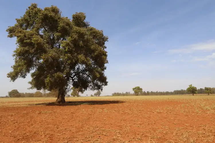 Fifth view of Homely rural property listing, - 'Wolstan', West Wyalong NSW 2671
