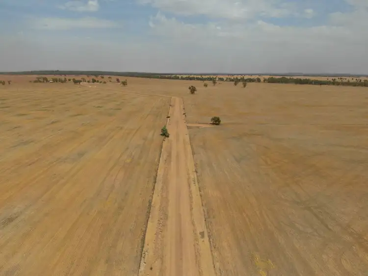 Sixth view of Homely rural property listing, - 'Wolstan', West Wyalong NSW 2671