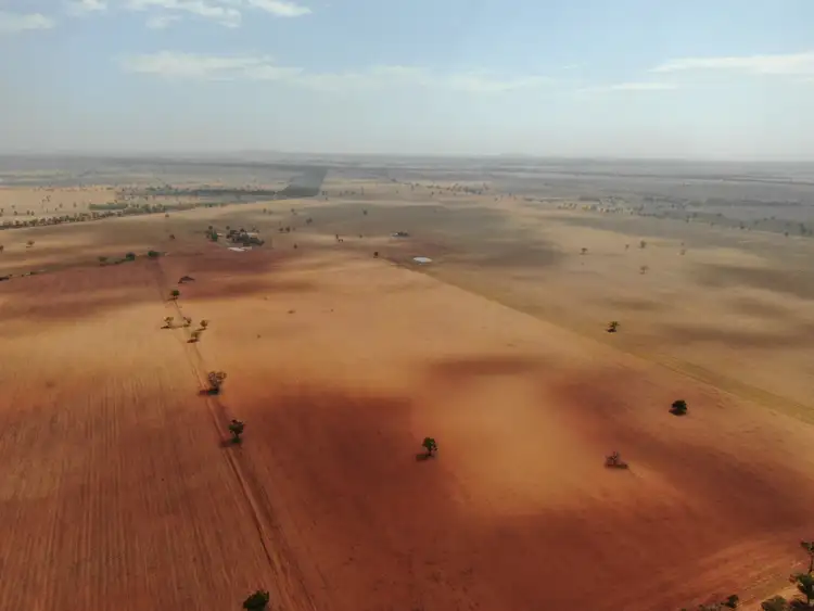 Seventh view of Homely rural property listing, - 'Wolstan', West Wyalong NSW 2671