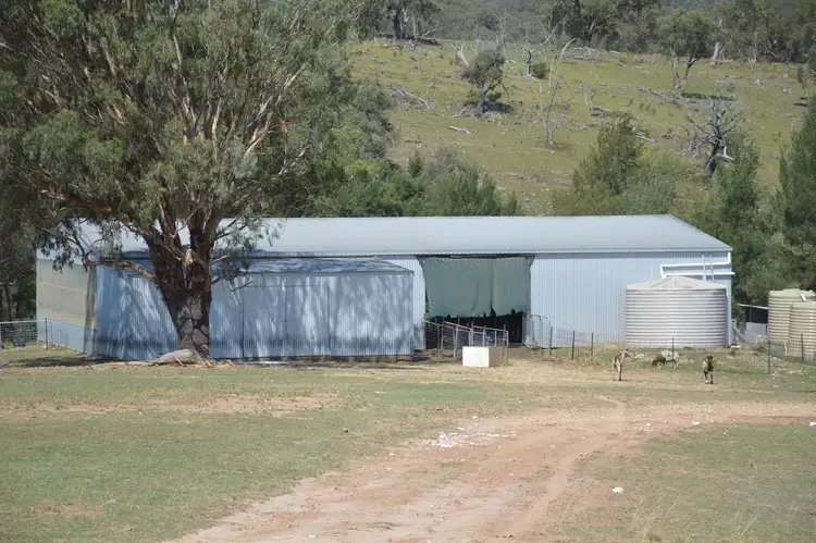 Seventh view of Homely rural property listing, 49 Campbells Creek Road, Mudgee NSW 2850