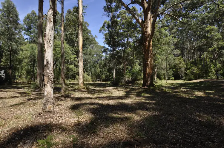 Second view of Homely land listing, Lot 156 KARRI LANE, Quinninup WA 6258