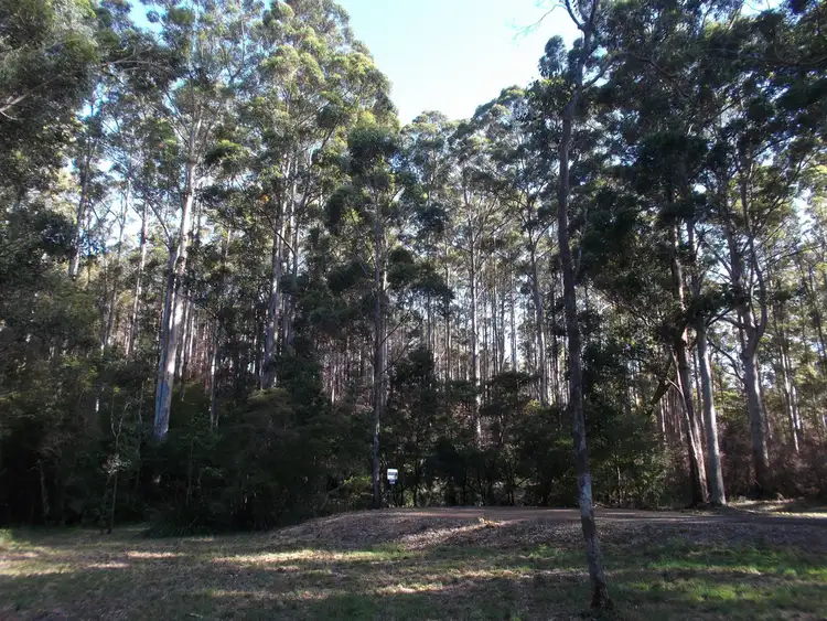 Third view of Homely land listing, Lot 156 KARRI LANE, Quinninup WA 6258