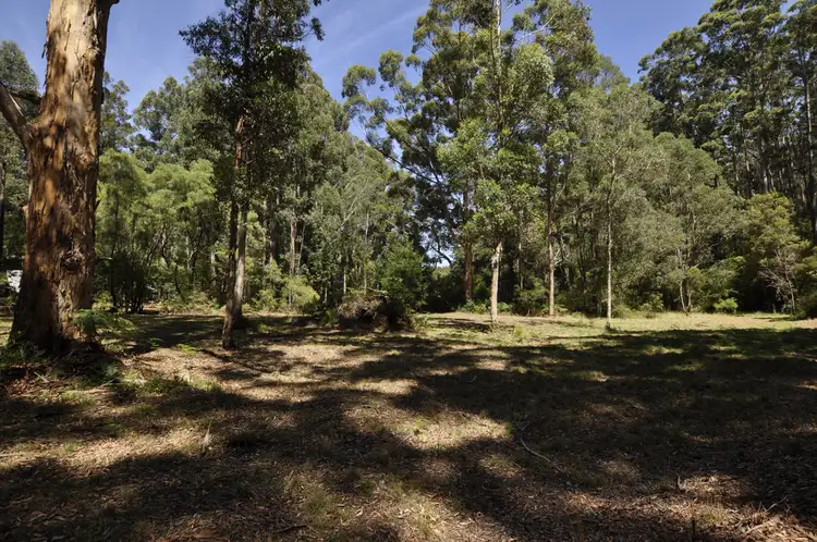 Fifth view of Homely land listing, Lot 156 KARRI LANE, Quinninup WA 6258