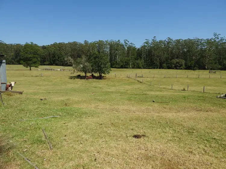 Seventh view of Homely rural property listing, 484 Blackbutt Road,, Herons Creek NSW 2439