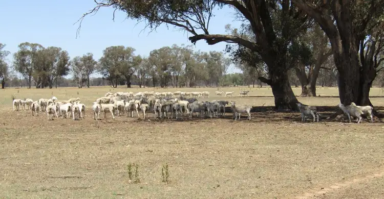 Main view of Homely rural property listing, 815 Kings Road, Norong VIC 3682